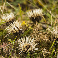 Herbstausflug Blaubeuren - Frank Gramlich