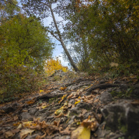 Herbstausflug Blaubeuren - Frank Gramlich