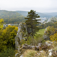 Herbstausflug Blaubeuren - Frank Gramlich
