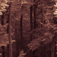 Herbstausflug Blaubeuren - Heidi Halder