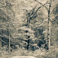 Herbstausflug Blaubeuren - Heidi Halder