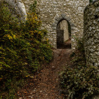 Herbstausflug Blaubeuren - Heinz Gerhard Ott