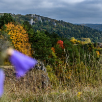 Herbstausflug Blaubeuren - Heinz Gerhard Ott