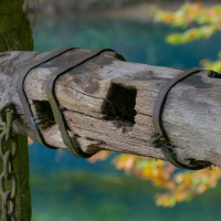 Herbstausflug Blaubeuren - Carmen Schanz