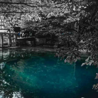 Herbstausflug Blaubeuren - Carmen Schanz