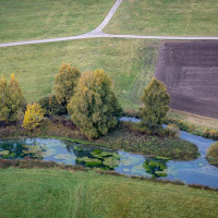 Herbstausflug Blaubeuren - Peter Jansen
