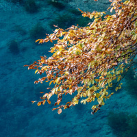 Herbstausflug Blaubeuren - Peter Jansen
