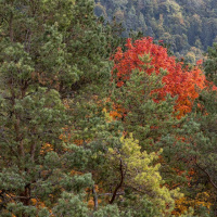 Herbstausflug Blaubeuren - Peter Jansen