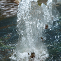 Herbstausflug Blaubeuren - Klaus Stückle