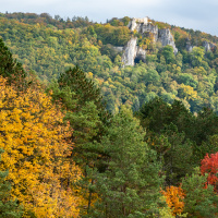 Herbstausflug Blaubeuren - Klaus Stückle