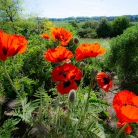 Botanischer Garten 2019 - Axel Pries