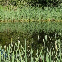 Botanischer Garten 2019 - Bernd Hillerich