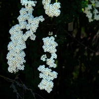 Botanischer Garten 2019 - Bernd Hillerich