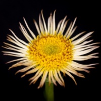 Botanischer Garten 2019 - Frank Gramlich