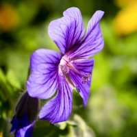 Botanischer Garten 2019 - Frank Gramlich