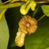 Botanischer Garten 2019 - Frank Gramlich
