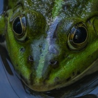 Botanischer Garten 2019 - Heinz Gerhard Ott