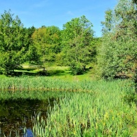 Botanischer Garten 2019 - Peter Wahlenmayer
