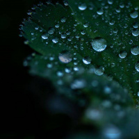 01-DSC_0033WEBs-klein