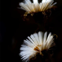 03-DSC_0073WEBs-klein