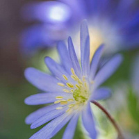 04-DSC_0348WEBs-klein