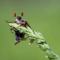 05-DSC_0600WEB-klein