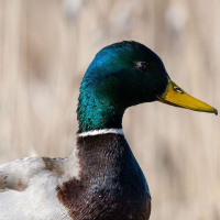 09-DSC_2540WEBs-klein