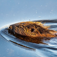 11-DSC_2766WEBs-klein