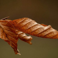 12-DSC_3019-WEB-klein