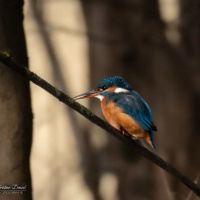 13-DSC_3887-1WEBs-klein