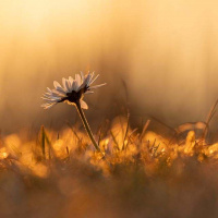 15-DSC_4574WEBs-klein