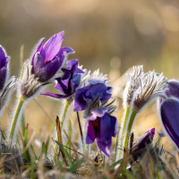 16-DSC_5008WEBs-klein