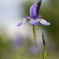 17-DSC_5020WEBs-klein