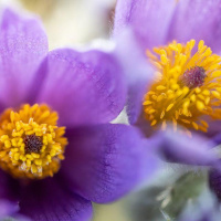 18-DSC_5239WEBs-klein