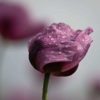 20-DSC_5910WEBS-klein