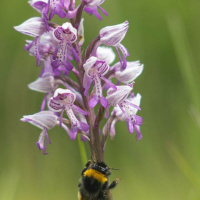 21-DSC_6052WEBs-klein