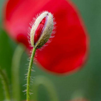 23-DSC_6123WEBs-klein