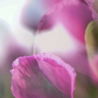 24-DSC_6160WEBs-klein