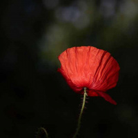 25-DSC_6205WEBs-klein