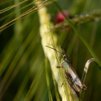 27-DSC_6867WEBs-klein