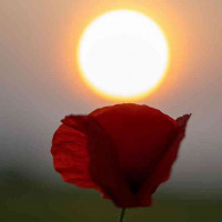 30-DSC_7031WEBs-klein