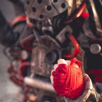 Heidi Halder - Cosplayer 2019