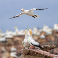 Johnny Krüger - Auf der Suche