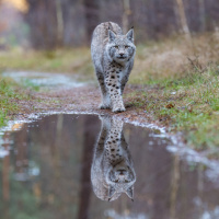 Deutsche Fotomeisterschaft 2025 Johnny Krüger Annahme