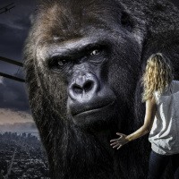 DirkZimmermann_0982-060912_KingKong8