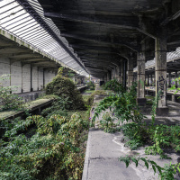 DirkZimmermann_5DZ_4295