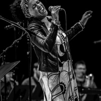 DirkZimmermann_5DZ_6606