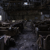 DirkZimmermann_6DZ_2680