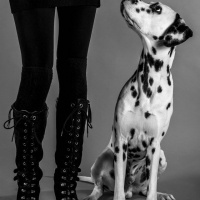 DirkZimmermann_BlackWhite