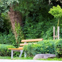 Frank Gramlich - Fotospaziergang Laupheim
